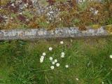 image of grave number 563002